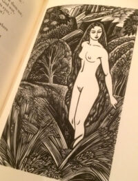 Illustrated Books
