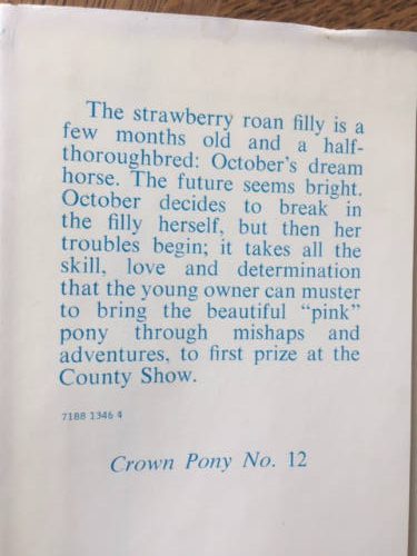 Pink Pony by Catherine Carey