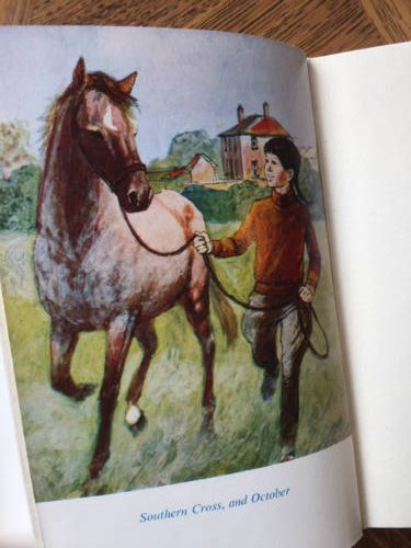 Pink Pony by Catherine Carey