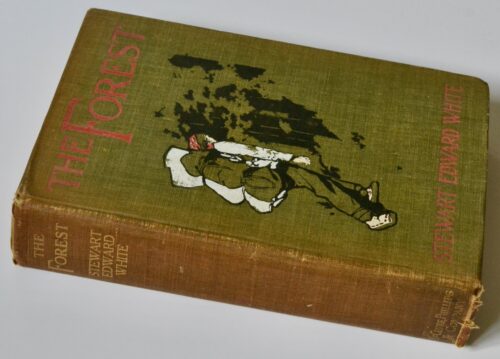 The Forest book